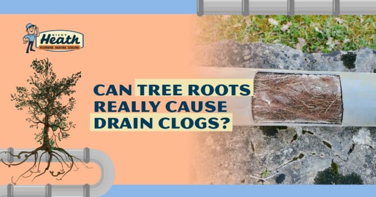 Can Tree Roots Really Cause Drain Clogs?